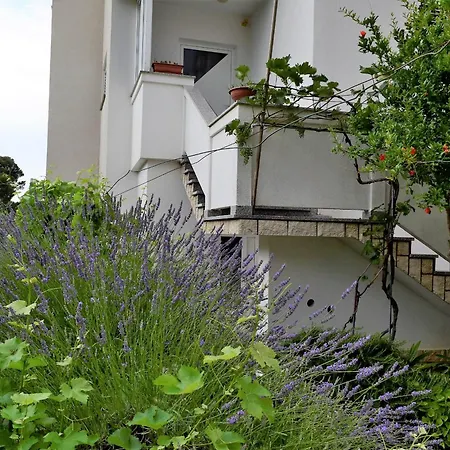 Sunnyy Beacch Apartment *